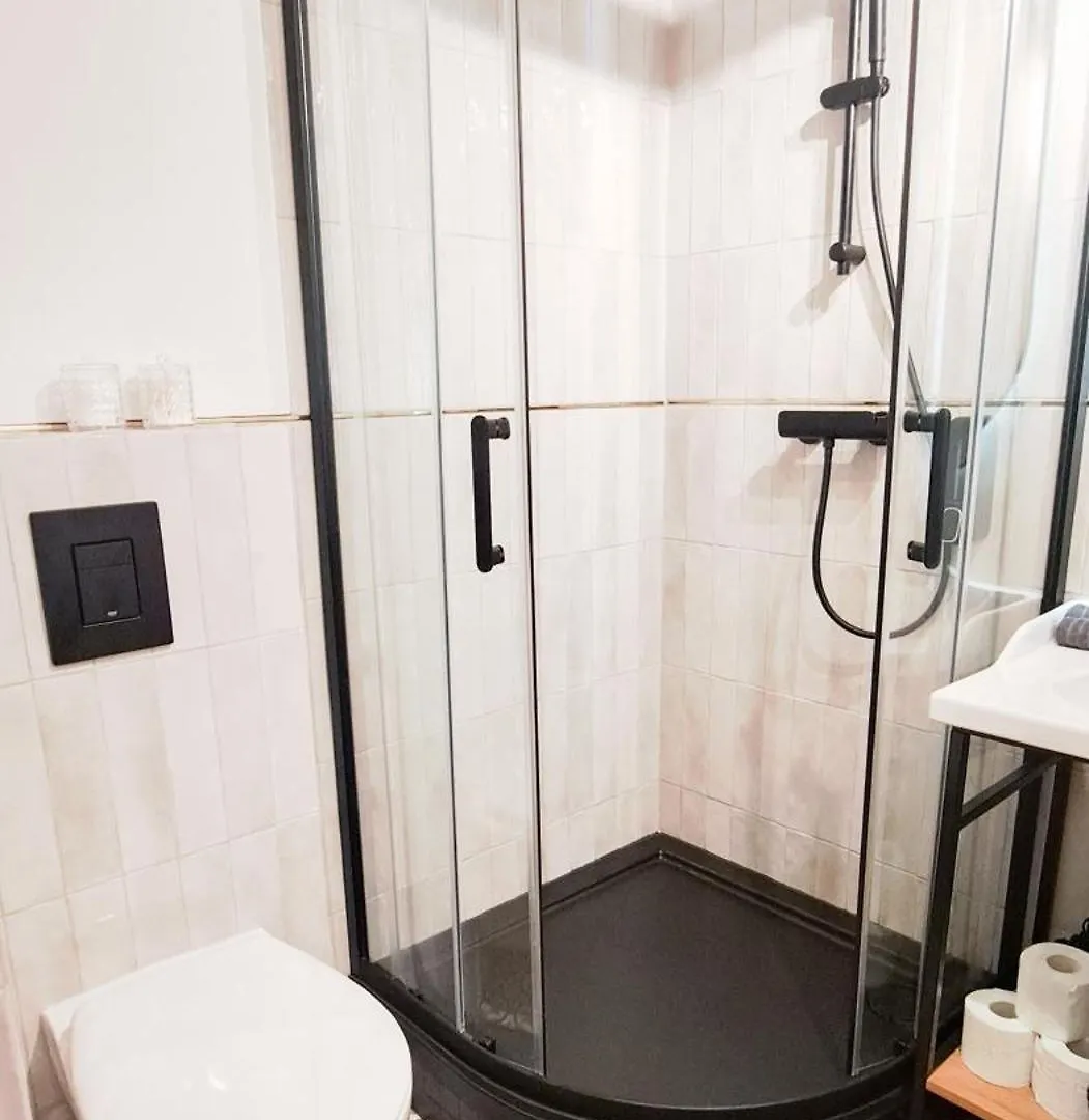 Lion Apartments - Platinium Krakow